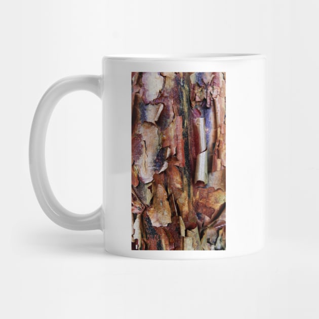 Natural Abstract (paperbark maple tree detail) by LaurieMinor